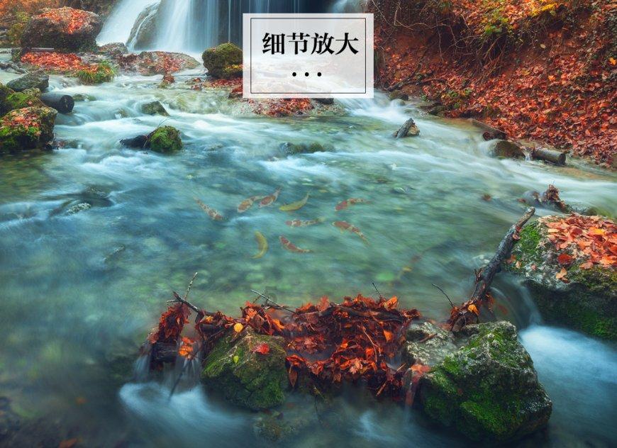 逗小猴开心系列184
